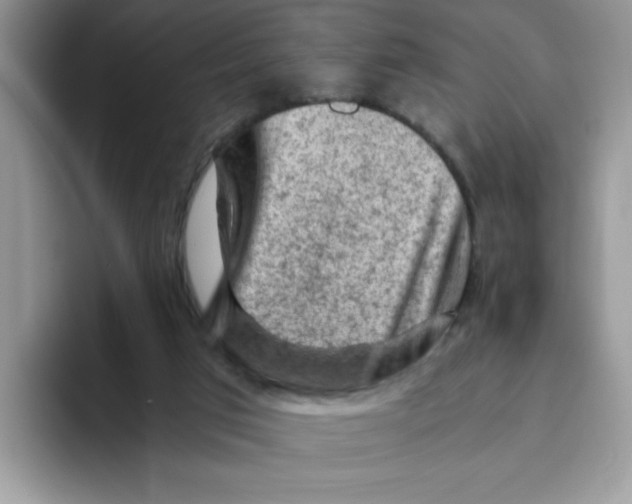 X0000093430017200711091444