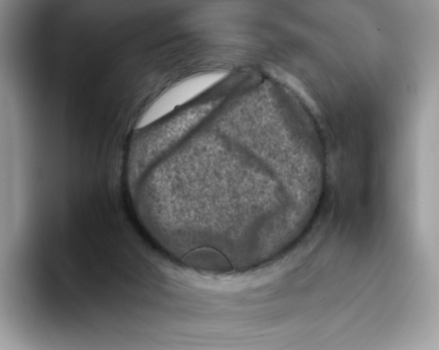 X0000093430018200711091444
