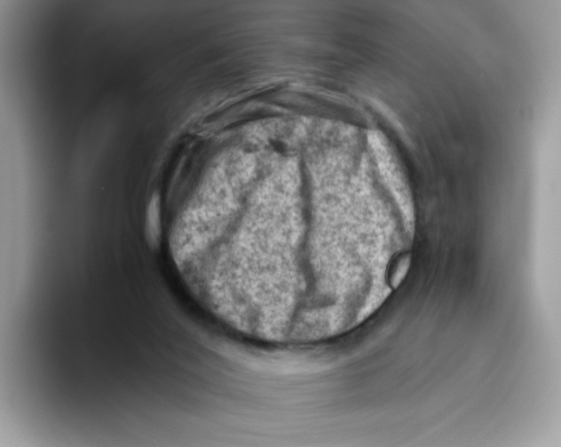 X0000093430020200711091444