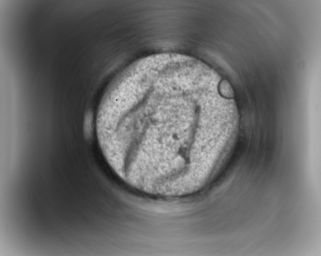 X0000093430024200711091444