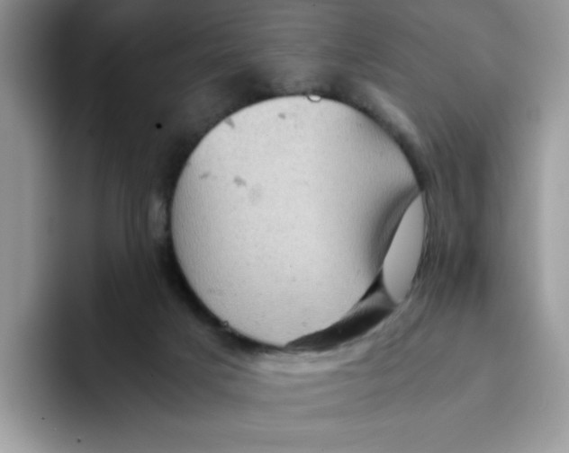 X0000093430025200711091444