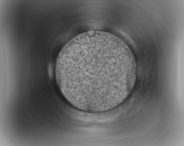 X0000093430026200711091444