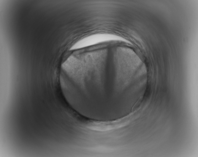X0000093430029200711091444