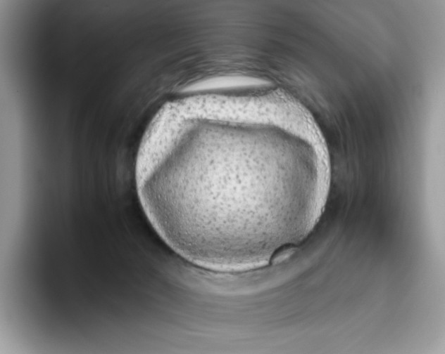 X0000093430030200711091444