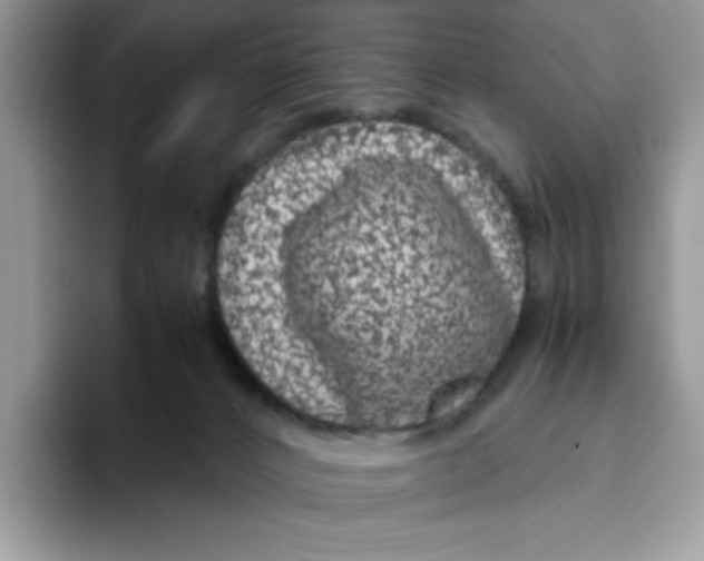X0000093430032200711091444
