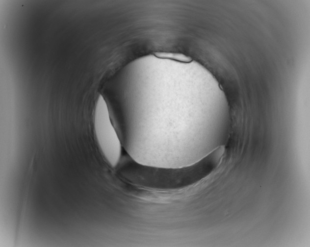 X0000093430033200711091444