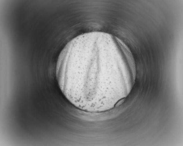 X0000093430034200711091444