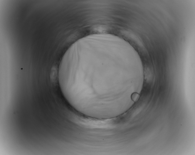 X0000093430036200711091444