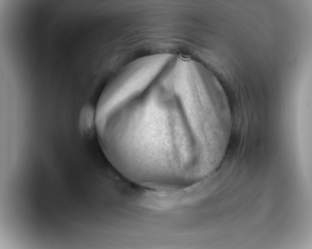 X0000093430041200711091444