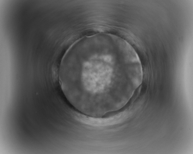 X0000093430043200711091444