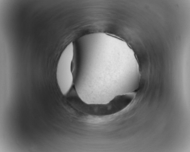 X0000093430045200711091444