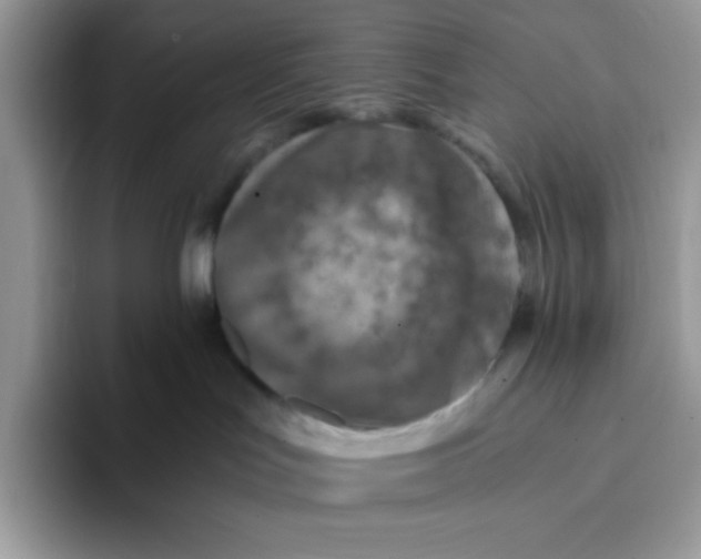 X0000093430047200711091444