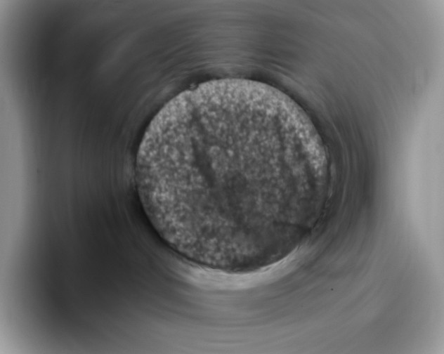 X0000093430048200711091444