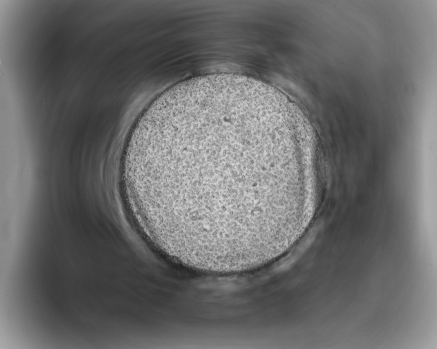 X0000093430049200711091443