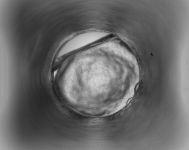 X0000093430050200711091443