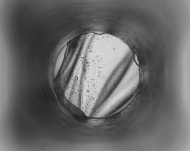X0000093430051200711091443