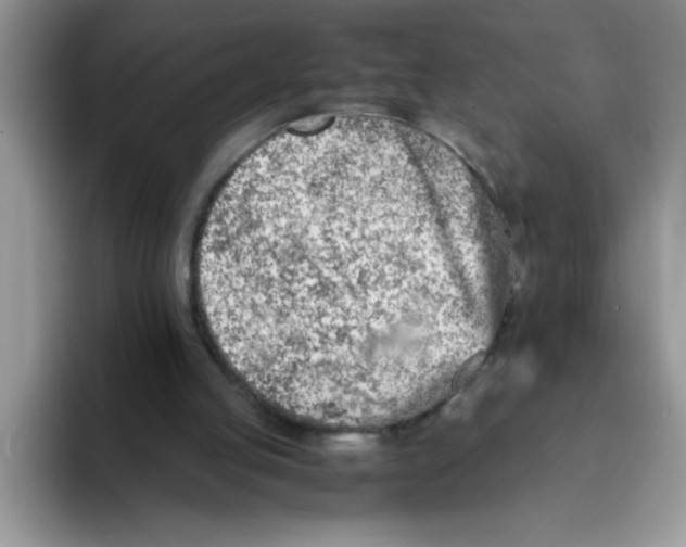 X0000093430053200711091443