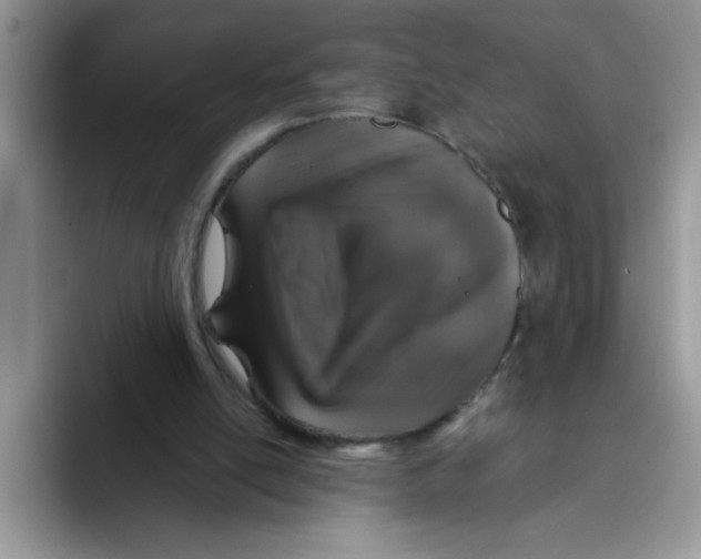 X0000093430054200711091443