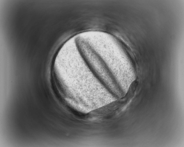 X0000093430055200711091443