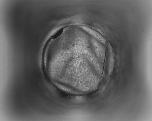 X0000093430056200711091443