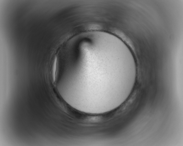 X0000093430057200711091443