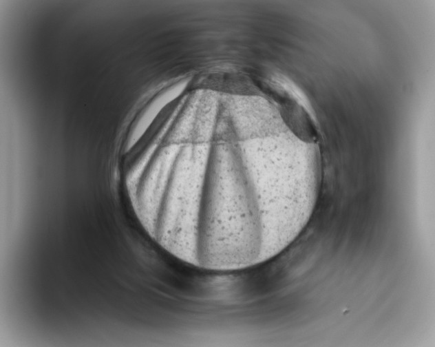 X0000093430059200711091443