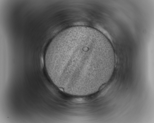 X0000093430061200711091443