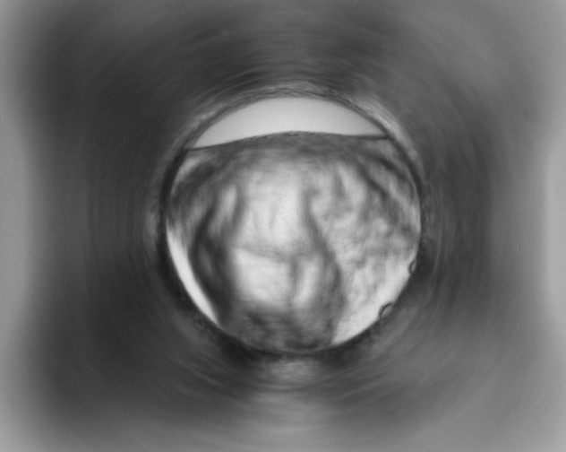 X0000093430063200711091443