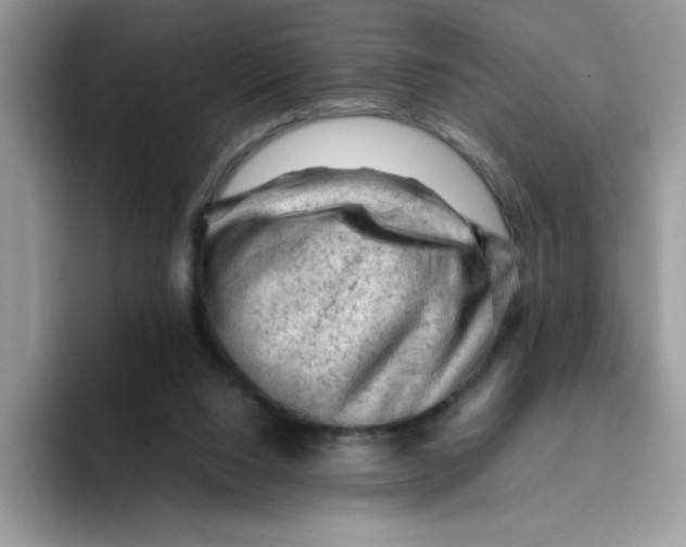 X0000093430064200711091443