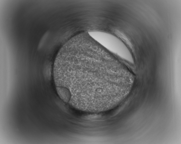 X0000093430065200711091443