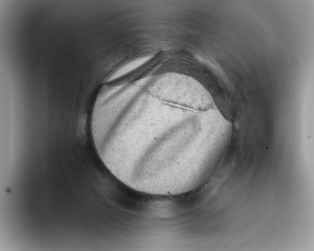 X0000093430066200711091443