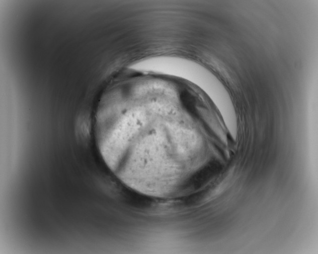 X0000093430072200711091443