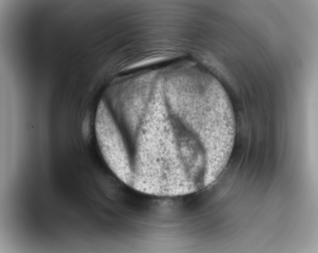X0000093430074200711091443