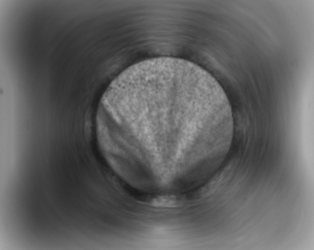 X0000093430080200711091443