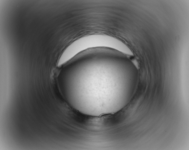 X0000093430084200711091443