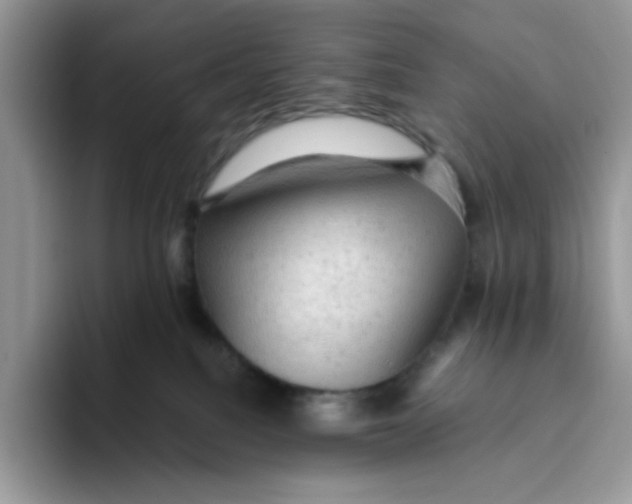 X0000093430088200711091443