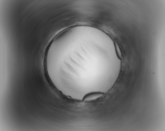 X0000093430098200711091443
