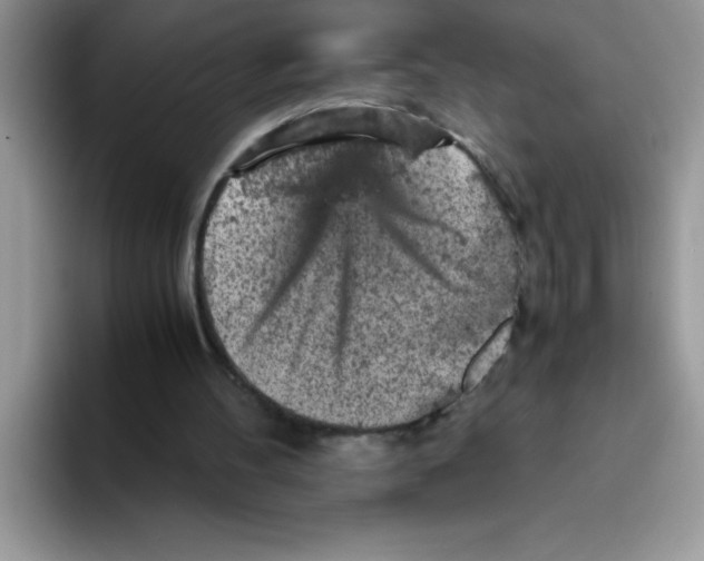 X0000093430100200711091443