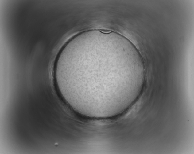 X0000093430103200711091443