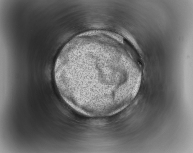 X0000093430106200711091443
