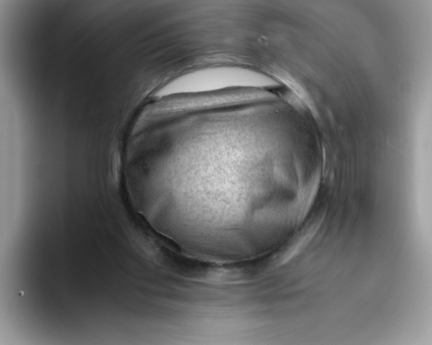 X0000093430109200711091443