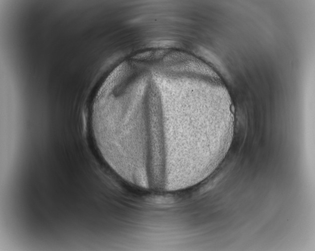 X0000093430110200711091443