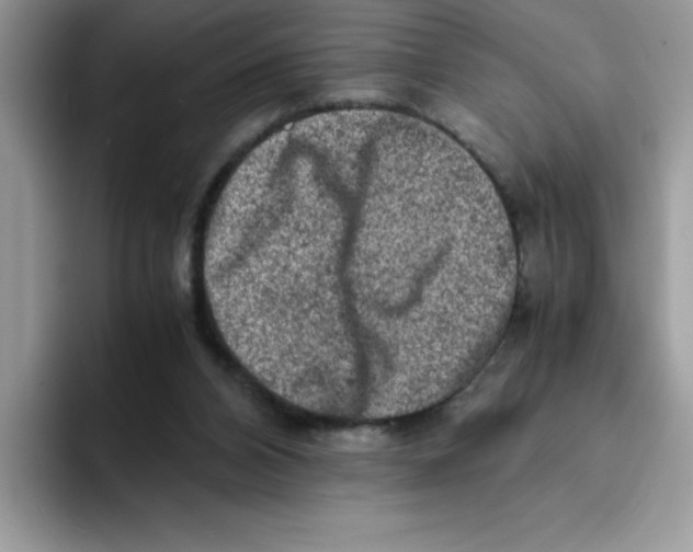 X0000093430112200711091443