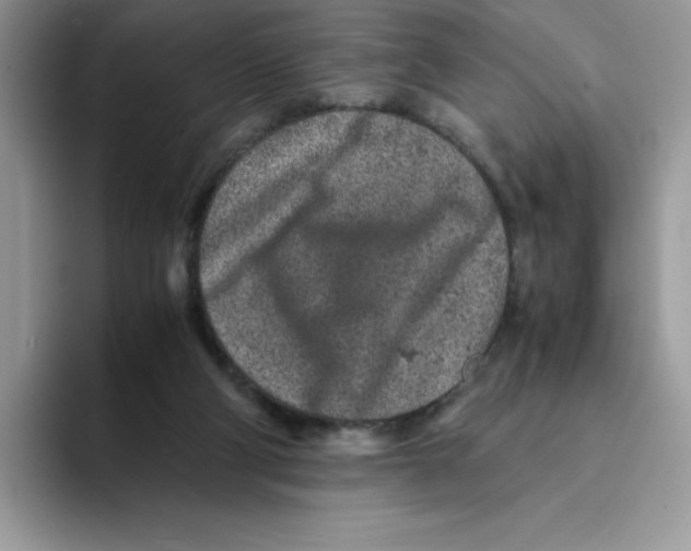 X0000093430114200711091443