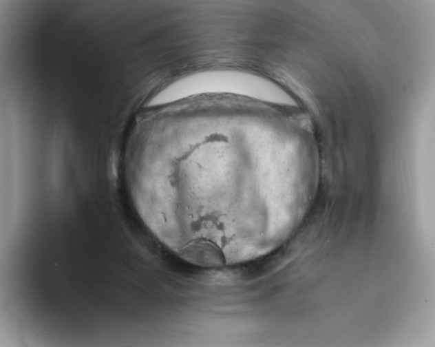 X0000093430115200711091443
