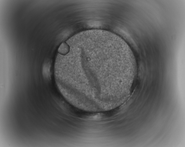 X0000093430116200711091443