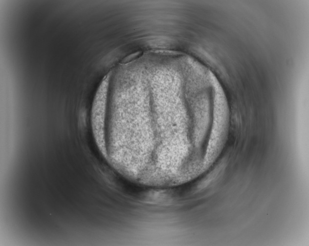 X0000093430117200711091443