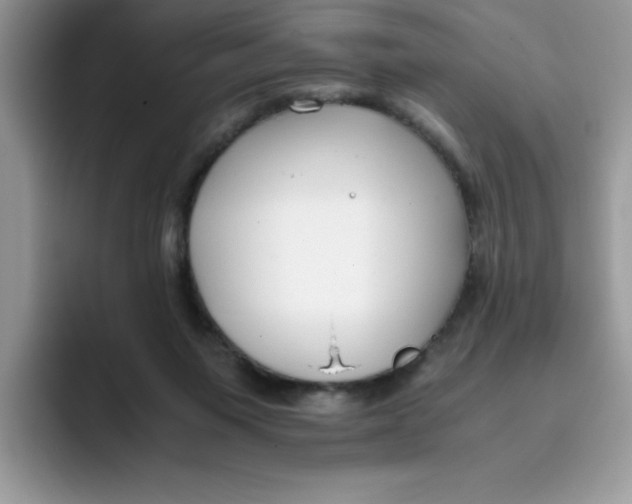 X0000093430119200711091443
