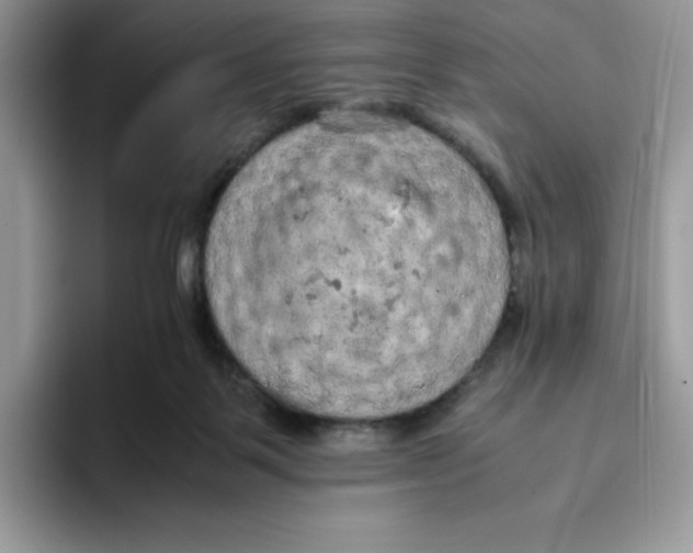 X0000093430123200711091443