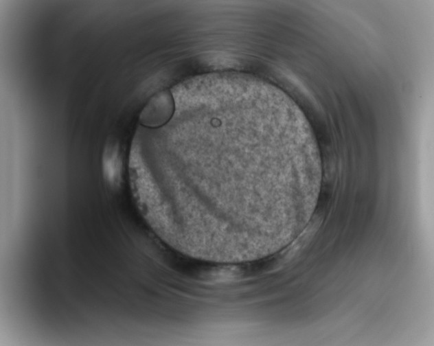 X0000093430124200711091443